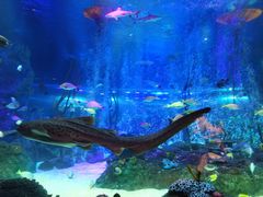 -沈阳海洋探索中心