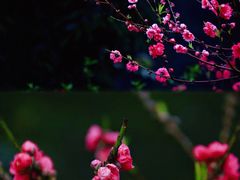 -桃花涧