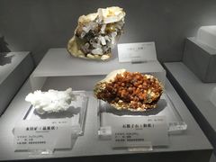 -湖南省地质博物馆