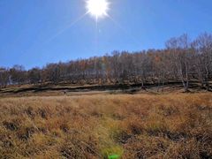 -塞罕坝国家级自然保护区