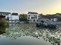 -常熟方塔园