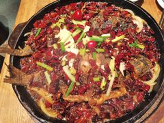 老板恋上鱼-老板恋上鱼(高新万达店)