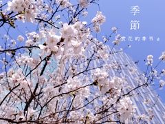 -同济大学(地铁站)