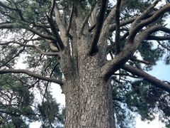 -终南山南五台景区