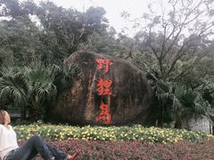 -野狸岛