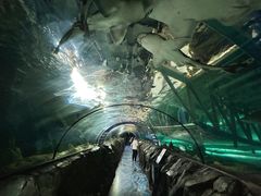 -悉尼海洋生物水族馆