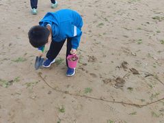 -青岛第三海水浴场