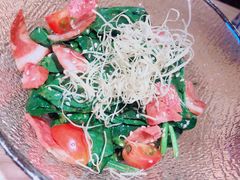 获奖的菠菜培根沙拉-有喜屋·日料·居酒屋(旭辉广场店)