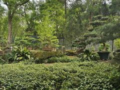 -成都武侯祠博物馆