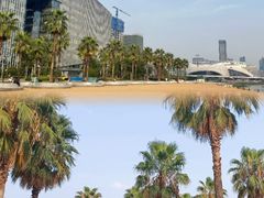 -金沙湖公园