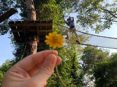 -芦仙山景区-飞越丛林探险乐园