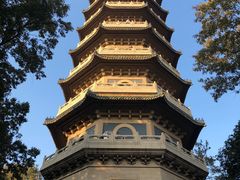-灵谷景区