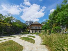 -上海吴淞炮台湾国家湿地公园