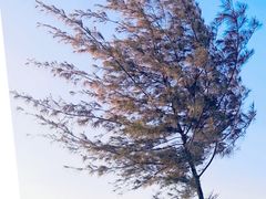 -白沙门生态公园