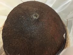 -椰爺爺·椰子冻砵仔糕