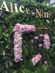 -Alice Nine婚礼艺术空间(总店)