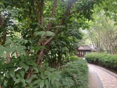 -沙河三洞古桥公园