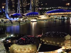 -新加坡瑞士史丹福酒店