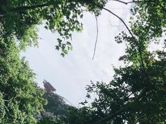 -少华山国家森林公园
