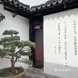 只有午市brunch（而且都是冷食）