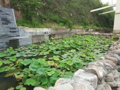 -江南天池