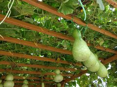 -中国天府农业博览园