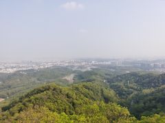 -大屏嶂森林公园