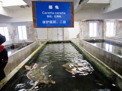 -硇洲岛旅游区