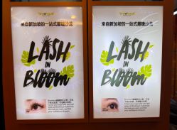 点击看大图 -Browhaus眉睫沙龙