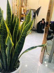 -V HAIR SALON造型