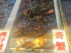 -南沙十九涌渔人码头-南门