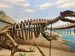 -延庆地质公园博物馆