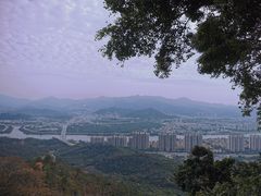 -风云岭森林公园