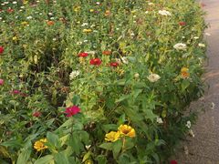 -长春公园(普阳街道)