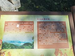 -阳台山自然风景区