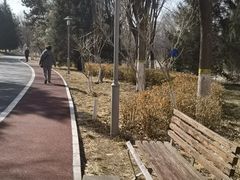 -望湖公园