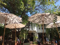 景观位-Fern Forest Cafe
