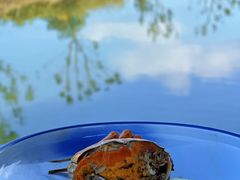 -乡乐园蟹庄·阳澄湖农家乐