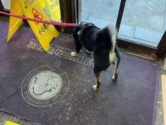 -宠爱国际动物医院·消化内科·心肾内科·ISFM猫友好(望京店)