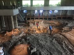 -自贡恐龙博物馆