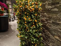 -望京辣宴·古法川菜(望京店)