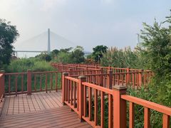 -芒洲湿地公园