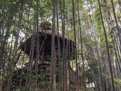 -成都杜甫草堂博物馆