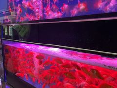 -双季花艺园艺市场(浦东店)