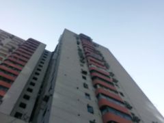 -申鑫大厦
