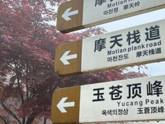 -玉苍山国家森林公园