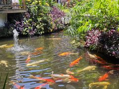 -聚福宝合苑食府(南头镇店)