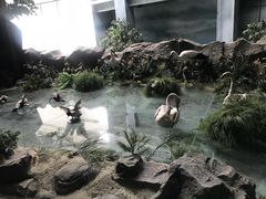 -吉林省自然博物馆