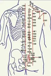 -安吉拉青春化管理中心