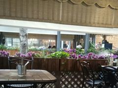 露天位-莫多多餐厅